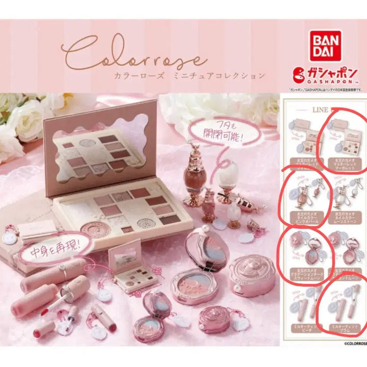 [BUNJANG] Bandai Color Rose Miniature Collection Gacha Bundle Set / 반다이 컬러로즈 미니어처 컬렉션 가챠 일괄