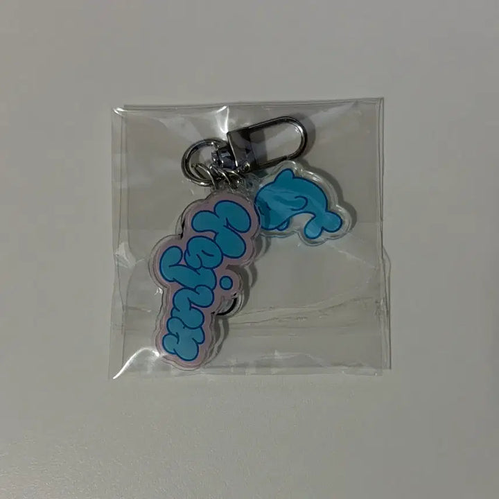 [BUNJANG] Playground Playvez Yejun Keychain / 왜요왜요왜 키링 예준 플레이브 삼왜 why