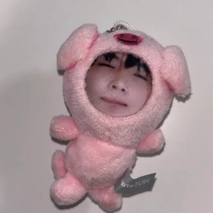 [BUNJANG] ENHYPEN Ni-ki Pig Phototalk / 앤팀 니콜라스 돼지 포토톡