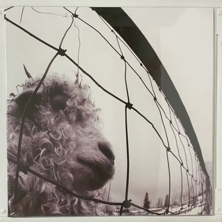 [BUNJANG] Pearl Jam LP Bundle Set (Sealed) / Pearl Jam(펄잼)LP