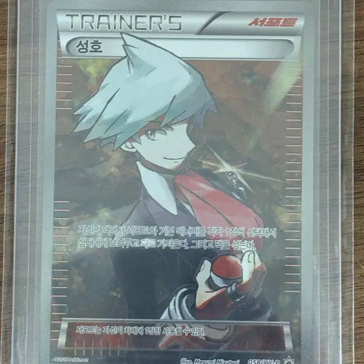 [BUNJANG] Pokemon Card XY Promo Seongho / 포켓몬카드 xy 프로모 성호
