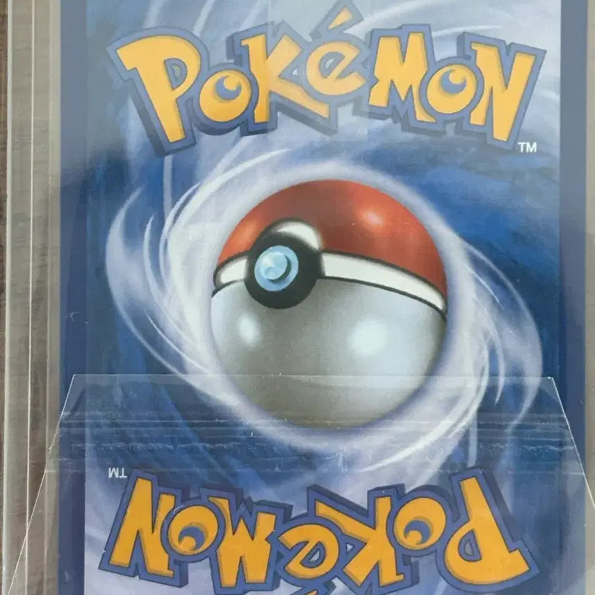 [BUNJANG] Pokemon Card XY Promo Seongho / 포켓몬카드 xy 프로모 성호