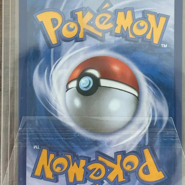 [BUNJANG] Pokemon Card XY Promo Seongho / 포켓몬카드 xy 프로모 성호
