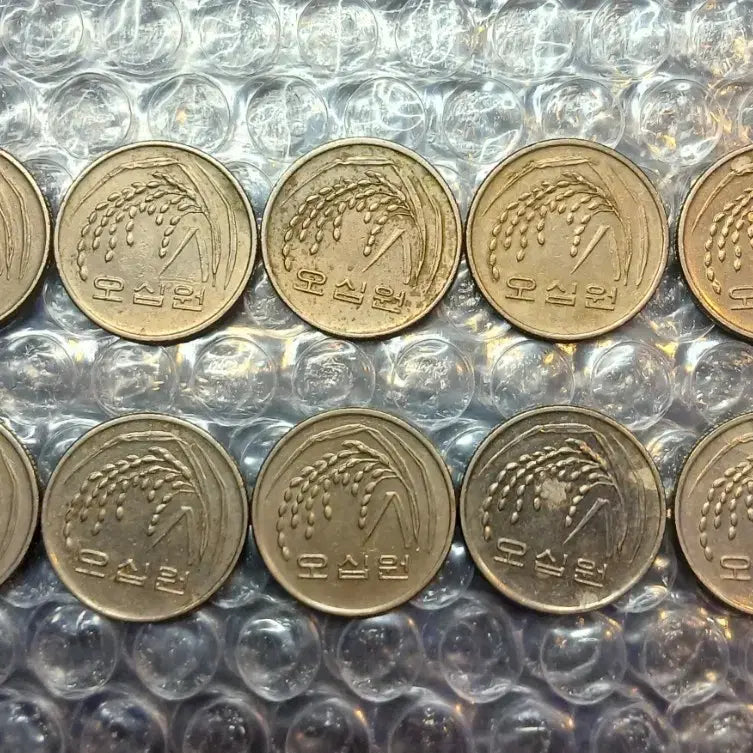 [BUNJANG] 1993 50 Won Coin Bundle (10 Coins) / 1993년 50원 10개일괄