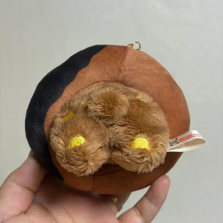 [BUNJANG] San-X Rilakkuma Donut Koguma Plush / 산엑스 리락쿠마 도넛 코구마 인형