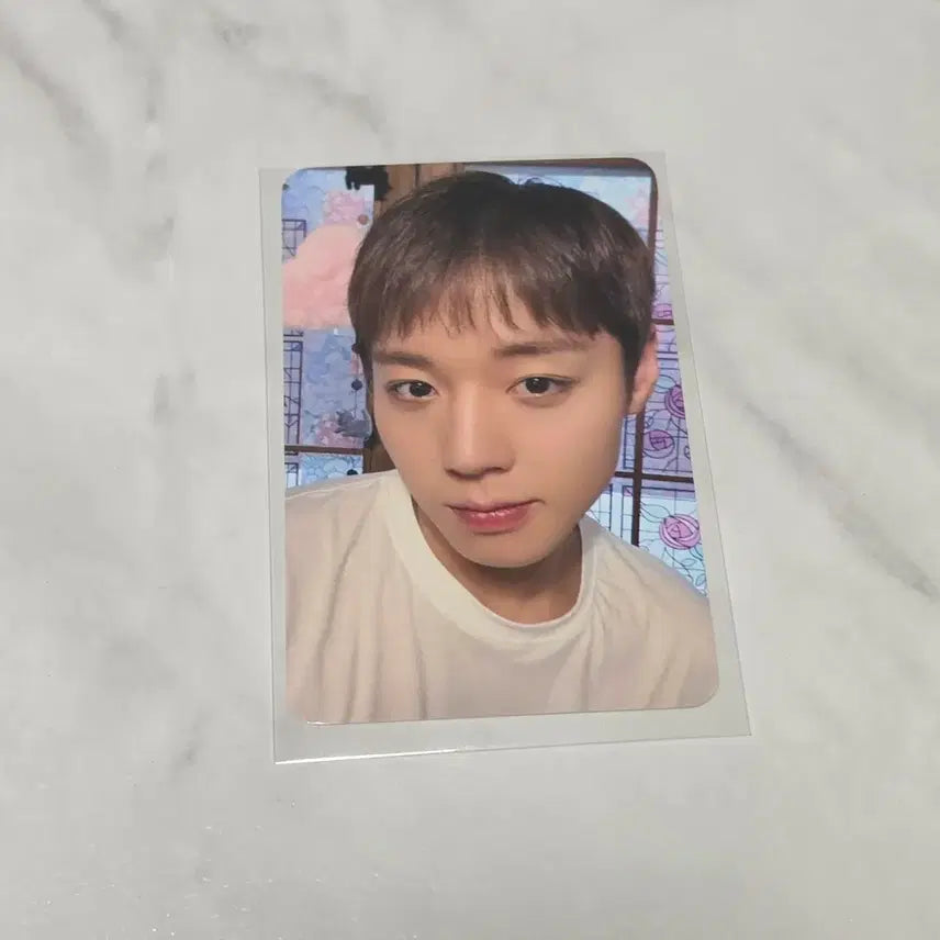 [BUNJANG] Park Ji Hoon Soundwave 1st High-five Event POB Photocard / 박지훈 사운드웨이브 사웨 1차 하이바이회 하바회 미공포 포카 포토카드