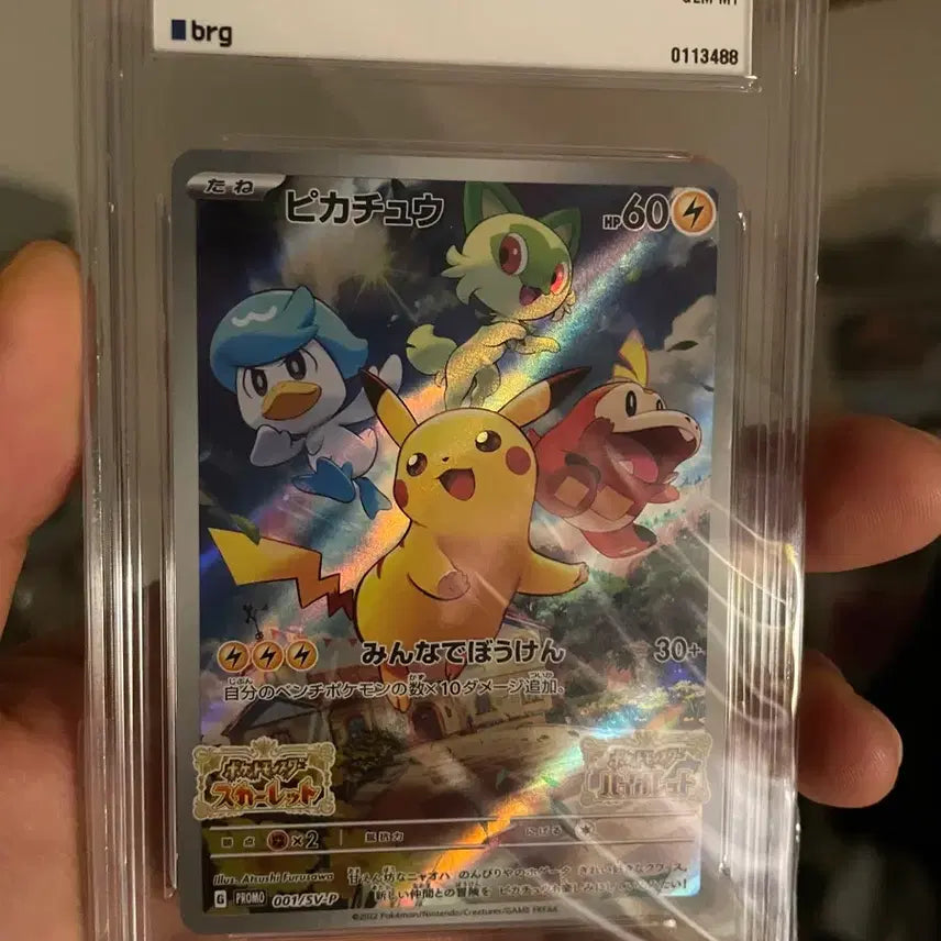 [BUNJANG] Pokemon Scarlet Pikachu Promo BRG10 PSA Graded Card / 포켓몬카드 스칼렛 피카츄 프로모 brg10 psa