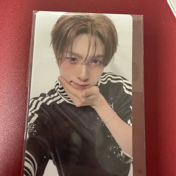 [BUNJANG] TWS Youngjae Lucky Draw Photocard / 투어스 영재 no tragedy 럭드 럭키드로우 아궁빵 tws