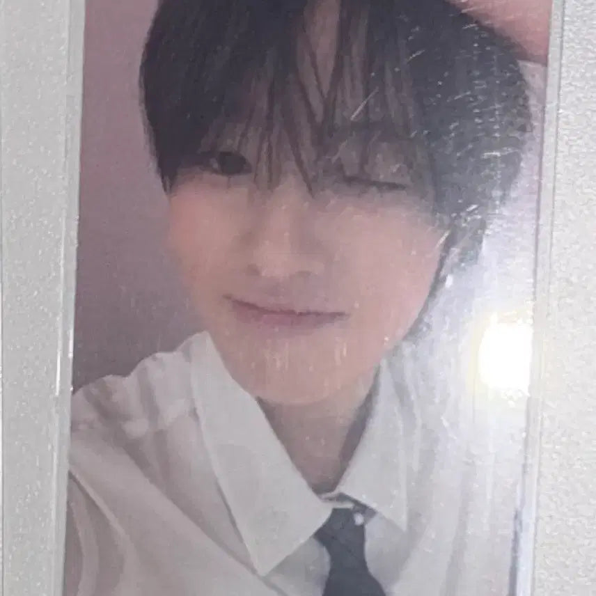[BUNJANG] NCT WISH Sakuya Photocard Steady Apple Music POB / 엔시티위시 사쿠야 포카 양도 스테디 애플뮤직 특전
