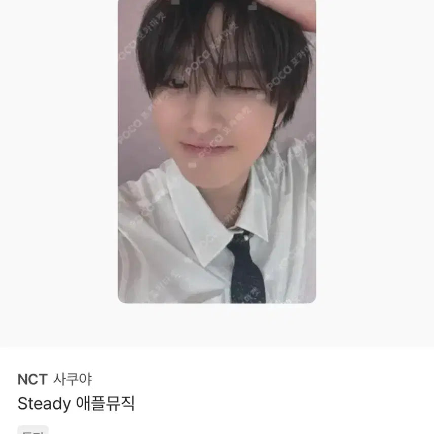 [BUNJANG] NCT WISH Sakuya Photocard Steady Apple Music POB / 엔시티위시 사쿠야 포카 양도 스테디 애플뮤직 특전
