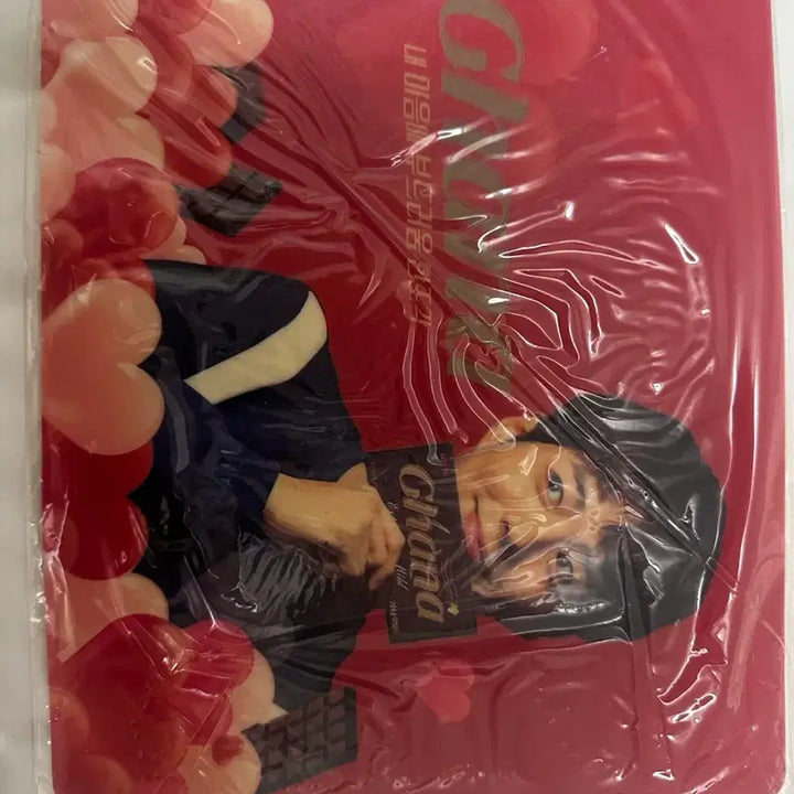 [BUNJANG] Park Bo Gum Sealed Goods (Puzzle, Bottle, Mousepad) / 박보검 미개봉 가나굿즈(퍼즐,보틀,마우스패드)