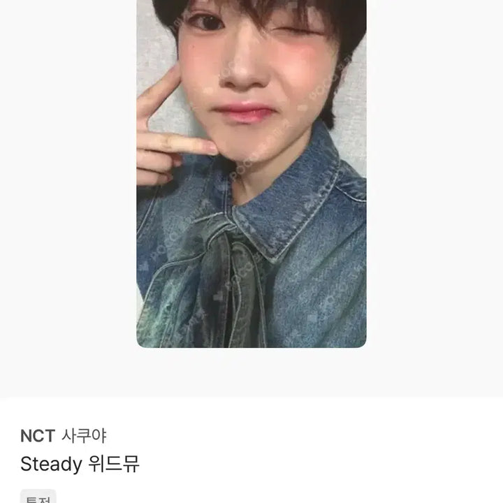 [BUNJANG] NCT WISH Sakuya Photocard Steady Weverse POB / 엔시티위시 사쿠야 포카 양도 스테디 위드뮤 미공포
