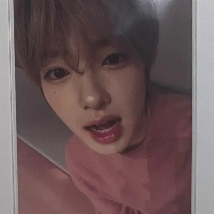[BUNJANG] NCT WISH Sakuya Photocard Color YES24 POB / 엔시티위시 사쿠야 포카 양도 컬러 예스24 미공포 영통