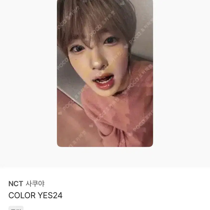 [BUNJANG] NCT WISH Sakuya Photocard Color YES24 POB / 엔시티위시 사쿠야 포카 양도 컬러 예스24 미공포 영통