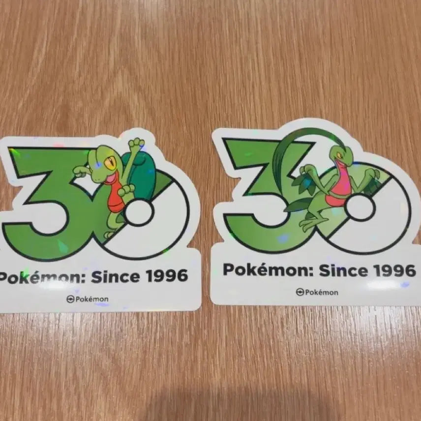 [BUNJANG] Namujigi Namudori Set Pokemon 30th Anniversary Stickers / 나무지기 나무돌이 세트 포켓몬 30주년 기념 스티커