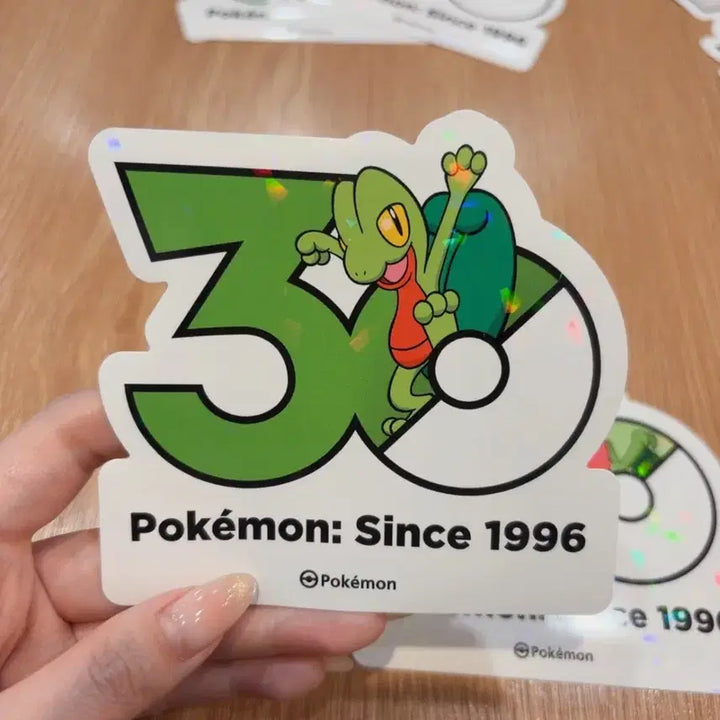 [BUNJANG] Namujigi Namudori Set Pokemon 30th Anniversary Stickers / 나무지기 나무돌이 세트 포켓몬 30주년 기념 스티커
