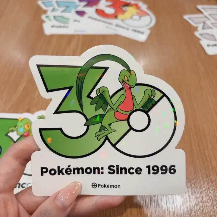 [BUNJANG] Namujigi Namudori Set Pokemon 30th Anniversary Stickers / 나무지기 나무돌이 세트 포켓몬 30주년 기념 스티커