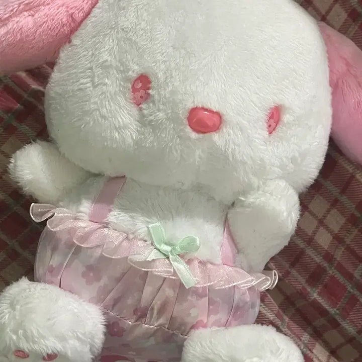 [BUNJANG] 2022 Sakura Pochacco Plush Doll (Authentic) / 2022 사쿠라 포차코 봉제인형 (정품)