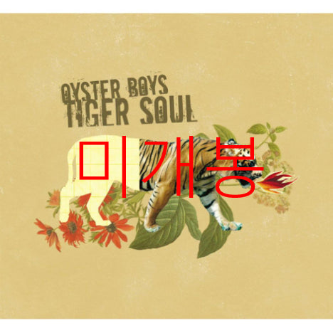 [BUNJANG] BTS 1st Album Tiger Soul (CD) (Sealed) / [미개봉] 굴소년단 - 1집 / Tiger Soul (CD)