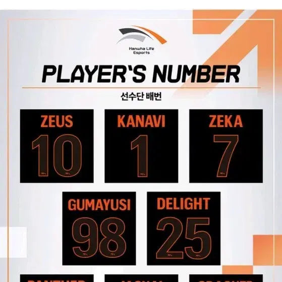 [BUNJANG] Hanwha Life Esports (HLE) Gumayusi Marked Kit / 한화생명 HLE 구마유시 마킹 키트 마킹지