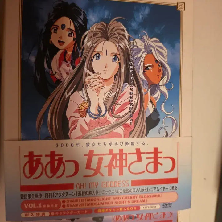 [BUNJANG] My Goddess Anime DVD Box Set Vol. 1-3 with Bonus / 오  나의 여신님 DVD VOL.123 특전 부록 포함