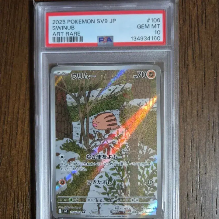[BUNJANG] Pokemon Card Japanese AR Kukuri PSA 10 / 포켓몬카드 일판 꾸꾸리 AR PSA10
