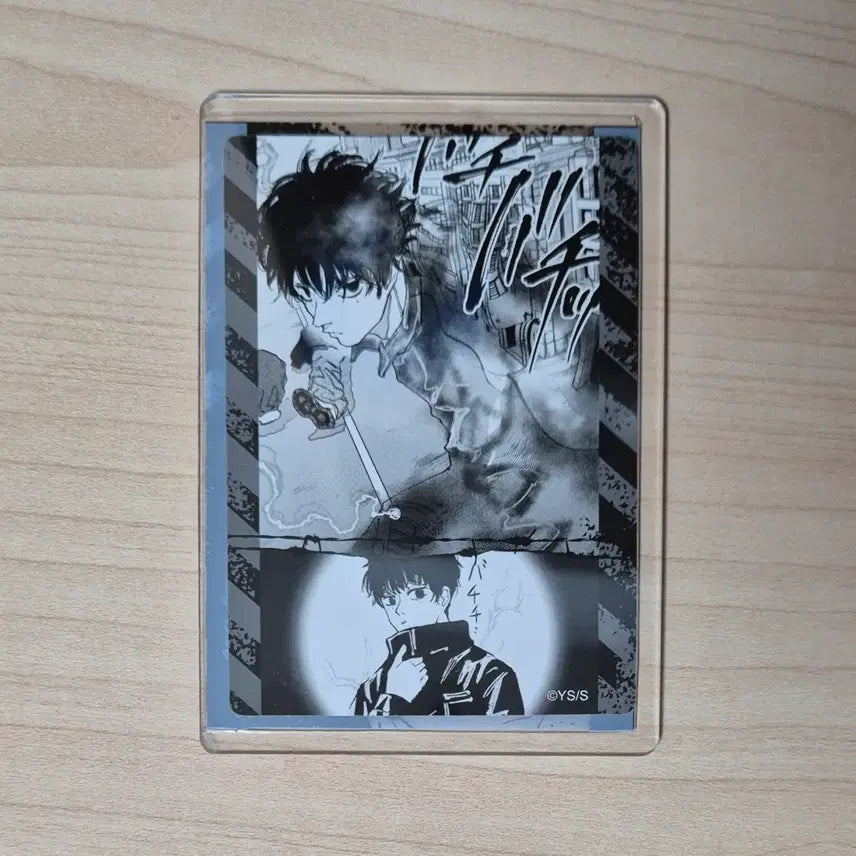 [BUNJANG] Sakamo-days Sakaday Natsuki Sebai Spring Collection Photocard / 사카모토데이즈 사카데이 세바 나츠키 봄코레 카드 포카