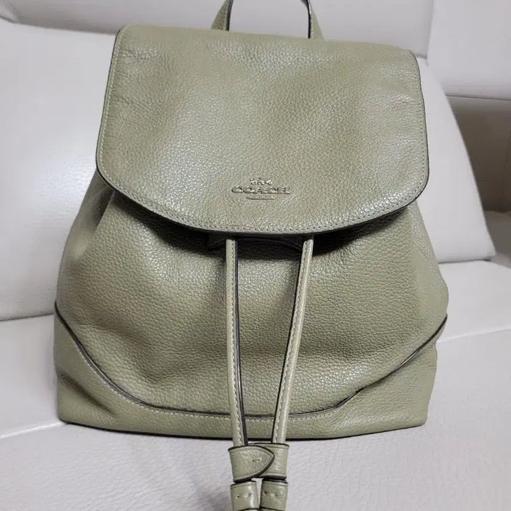[BUNJANG] Coach Leather Backpack Olive Green / 코치 가죽 백팩 여자가방