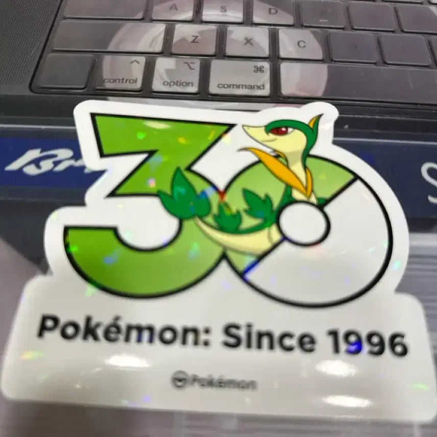 [BUNJANG] Pokemon 30th Anniversary Sticker Shabbi / 포켓몬 30주년 스티커 샤비