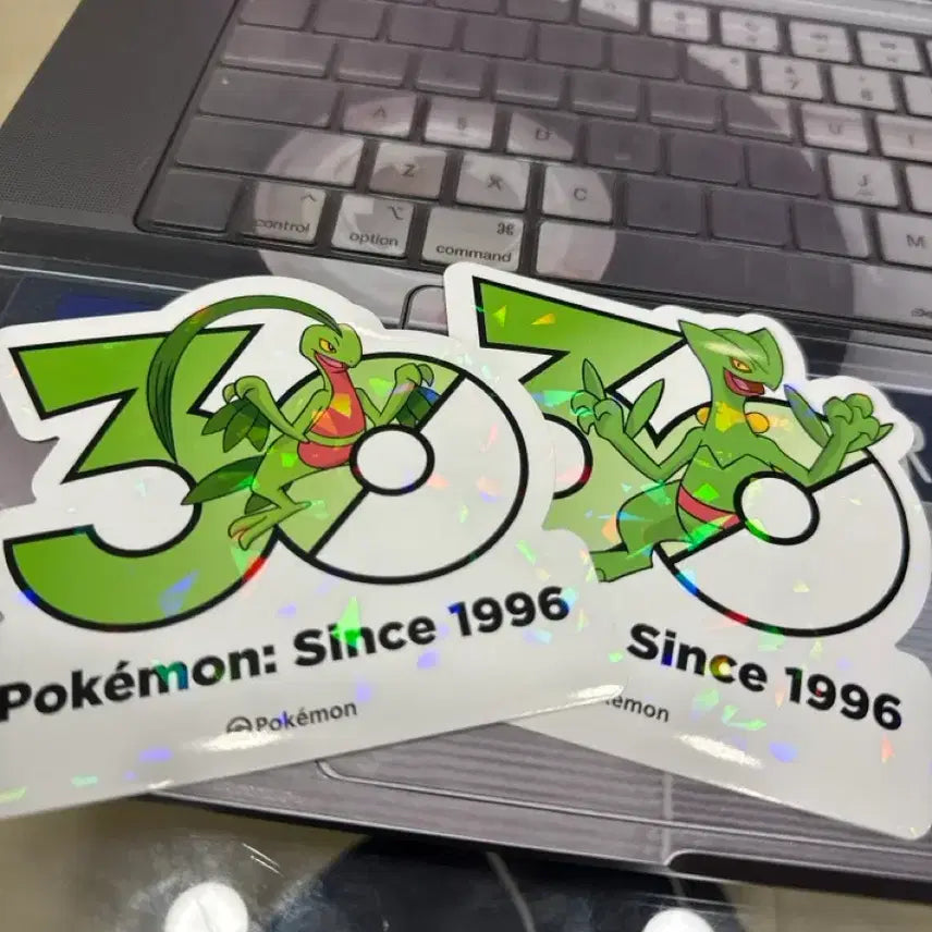 [BUNJANG] Pokemon 30th Anniversary Treecko Grovyle Set Stickers / 포켓몬 30주년 스티커 나무킹 나무지기 세트