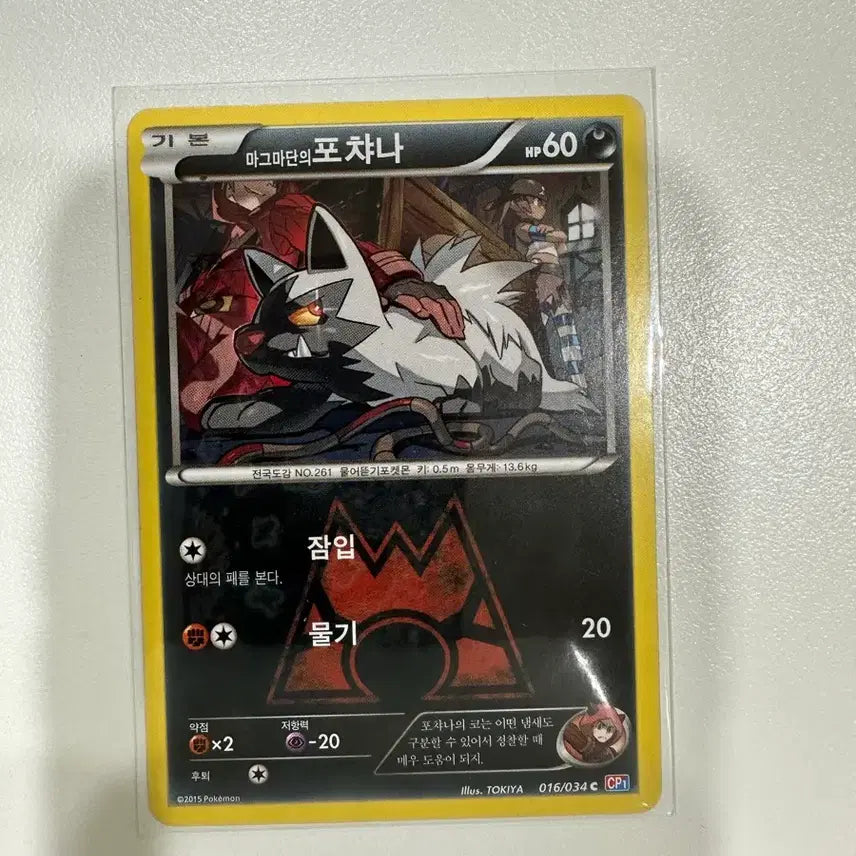 [BUNJANG] Pokemon Cards / 포켓몬카드