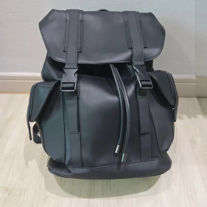 [BUNJANG] Zara Backpack / 자라백팩