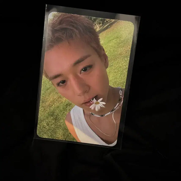[BUNJANG] Seventeen BSS-; REBOOT;-; Album Photocard / 벅지푼 리플렉트 앨범 포카