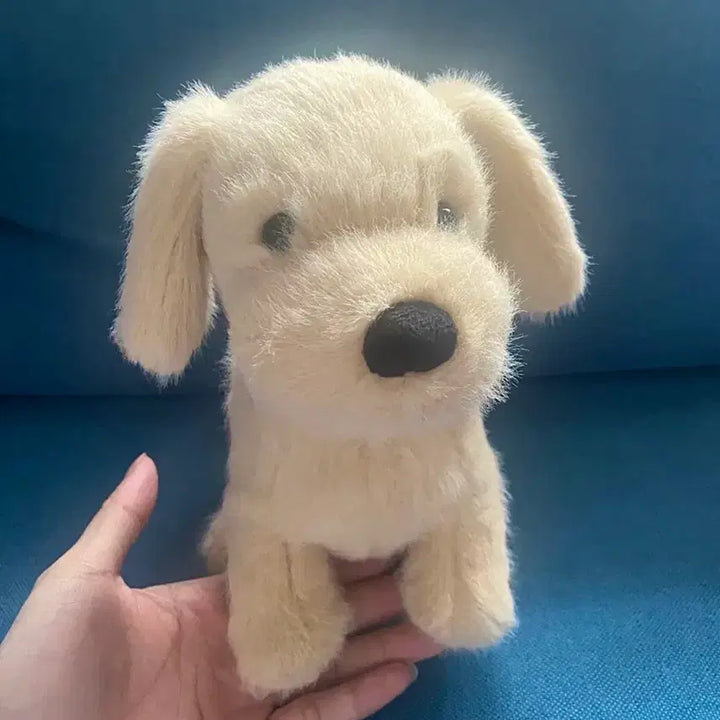 [BUNJANG] Jellycat Golden Puppy Plush / jellycat 골든퍼피 젤리캣 정품
