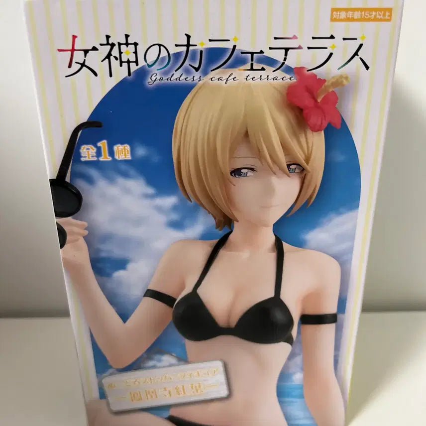 [BUNJANG] Hooji Akane Bikini Noodle Stopper Figure (Sealed) / 미개봉)여신의 카페테라스) 호오지 아카네 비키니 누들스토퍼 피규어