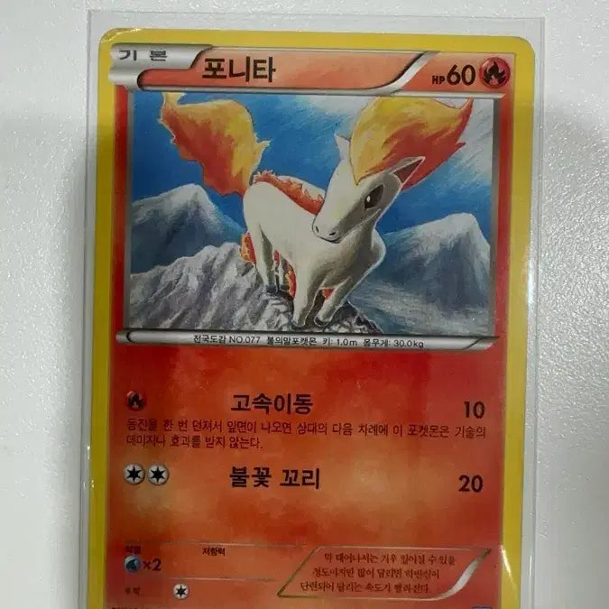 [BUNJANG] Pokemon Cards / 포켓몬카드