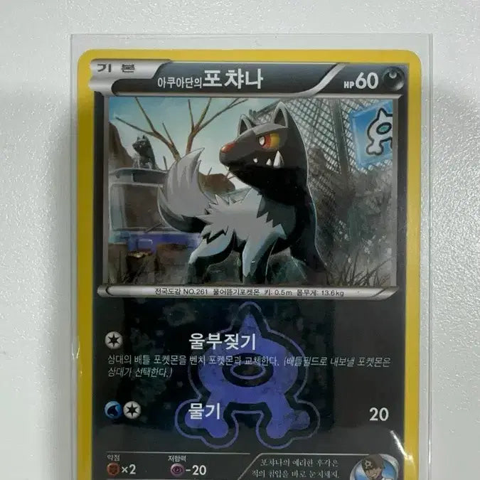 [BUNJANG] Pokemon Cards / 포켓몬카드