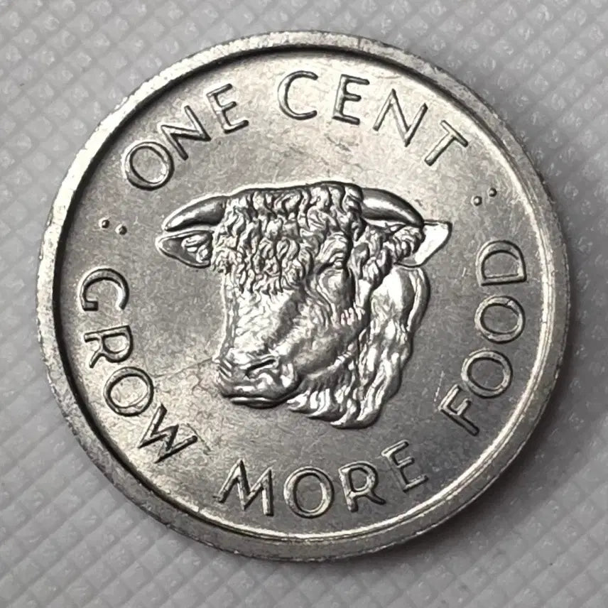 [BUNJANG] Seychelles 1 Cent Coin / [미사용] 세이셸 1센트 동전 zk-3354