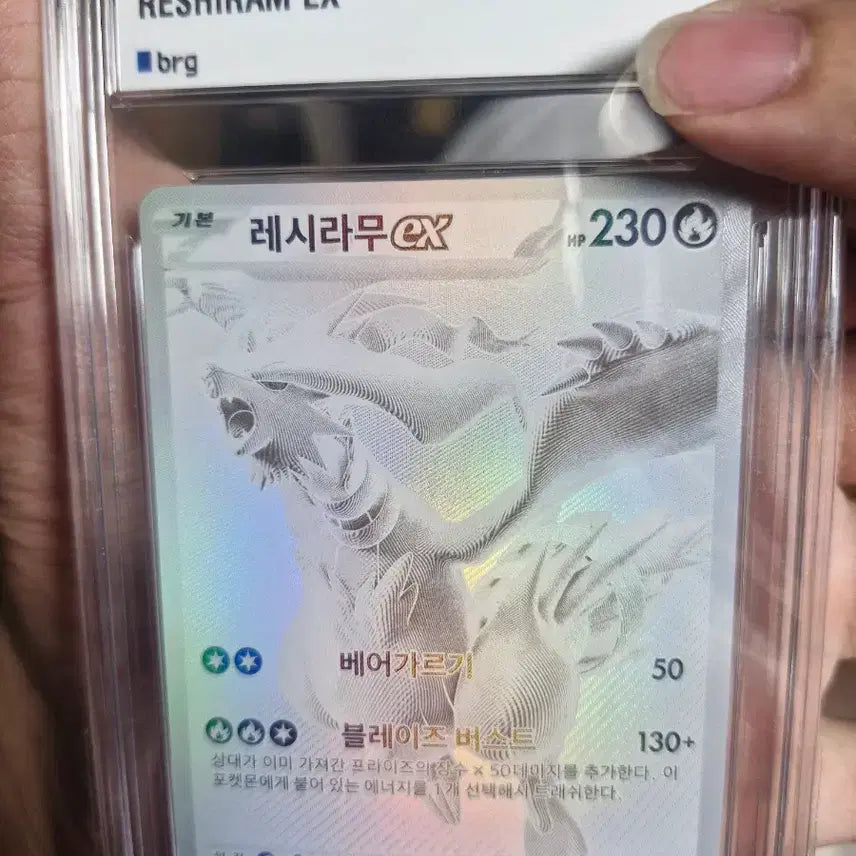 [BUNJANG] Reshiram EX BW Rare 