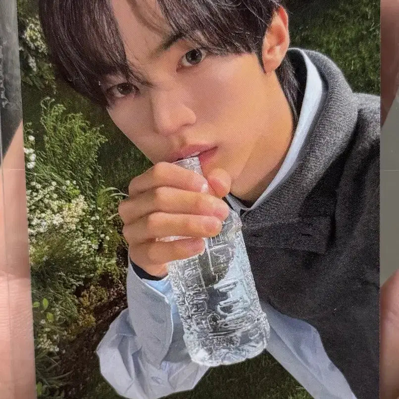 [BUNJANG] TWS Dohyun Reunited Today Weverse Exclusive Photocard / TWS 투어스 도훈 다시만난오늘 위버스 공팬 특전 포카