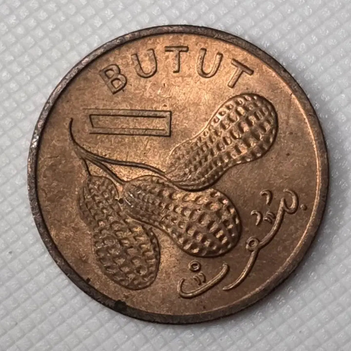 [BUNJANG] Gambia 1 Butut Coin (Unused, Rare) / [미사용] [희귀] 감비아 1부투트 동전 zk-3358