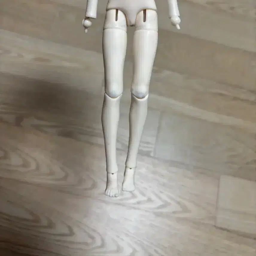[BUNJANG] MJD Lorene BJD Doll / bjd mjd 영야각흔 - 로란