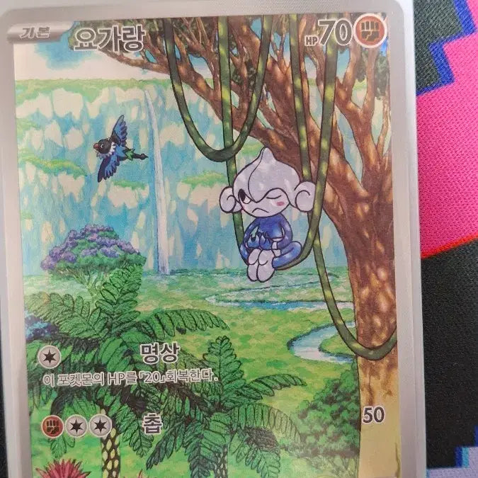 [BUNJANG] Pokemon Yoga &amp; AR Card / 포켓몬 요가랑 AR 카드