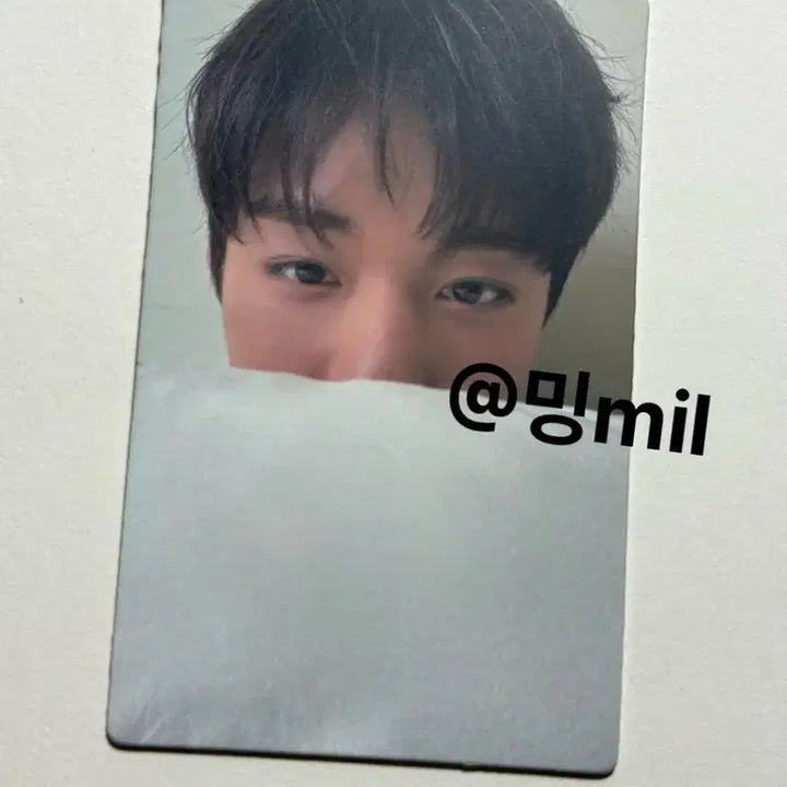 [BUNJANG] Park Ji Hoon Citer Photocard / 박지훈 citer 시터 포카 판매