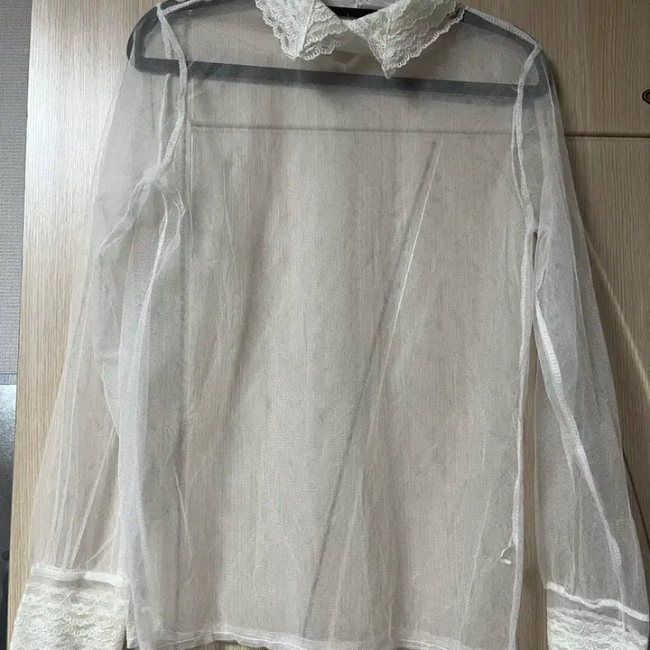[BUNJANG] Sheer Lace Collar Blouse / 전체 시스루 레이스 카라 블라우스