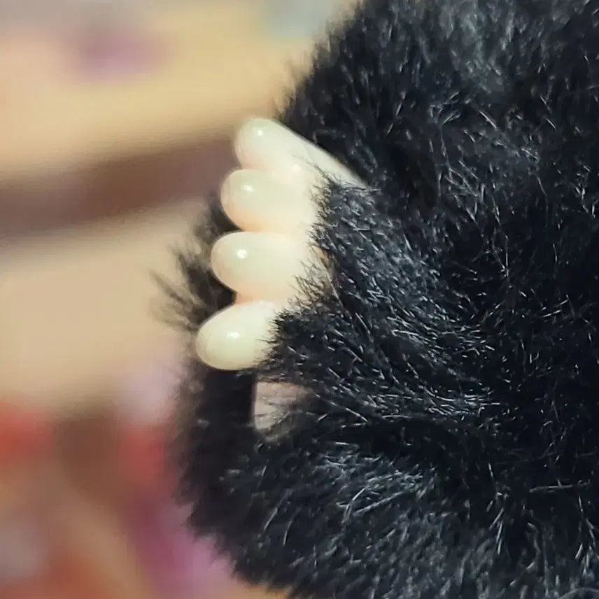 [BUNJANG] Authentic Big Baby Doll / [정품] 베이비쓰리 빅베이비