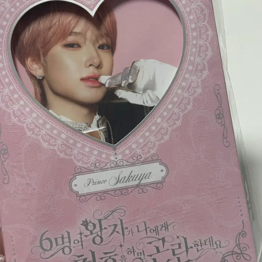 [BUNJANG] NCT WISH 2nd Anniversary Fanmeeting MD Sakuya Photocard Set / 엔시티위시 2주년 팬미팅 엠디 사쿠야 포토세트 양도