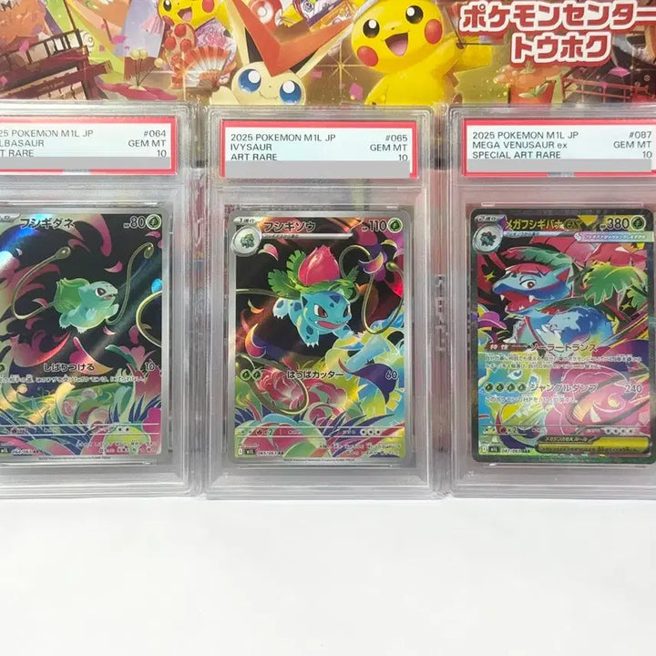 [BUNJANG] Bulbasaur, Ivysaur, Venusaur EX PSA 10 3-Card Set / 일판 2025 이상해씨 이상해풀 메가 이상해꽃 ex psa 10 3종