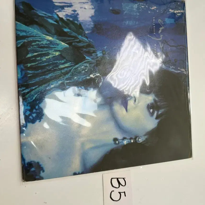 [BUNJANG] Enya Shepherd Moons High Fidelity LP / 엔야 Enya Shepherd Moons 고음질 명반 LP 팝니다