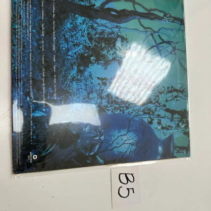 [BUNJANG] Enya Shepherd Moons High Fidelity LP / 엔야 Enya Shepherd Moons 고음질 명반 LP 팝니다